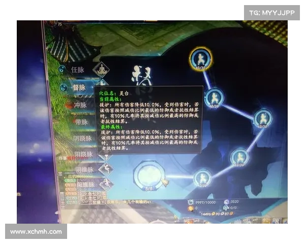 如何为武魂玄冰加点以实现最佳输出与防御平衡的加点策略分析 如何为武魂玄冰加点以实现最佳输出与防御平衡的加点策略分析