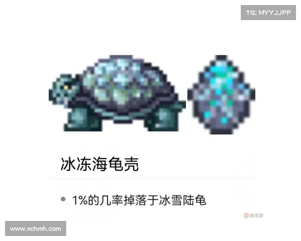 提升圣枪游侠实力的终极秘籍与实战策略解析 提升圣枪游侠实力的终极秘籍与实战策略解析