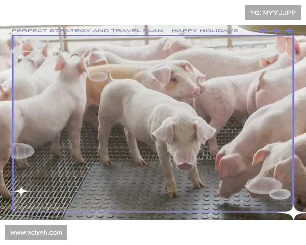 暴君刷新时间解析及应对策略全面指南助你轻松应对挑战