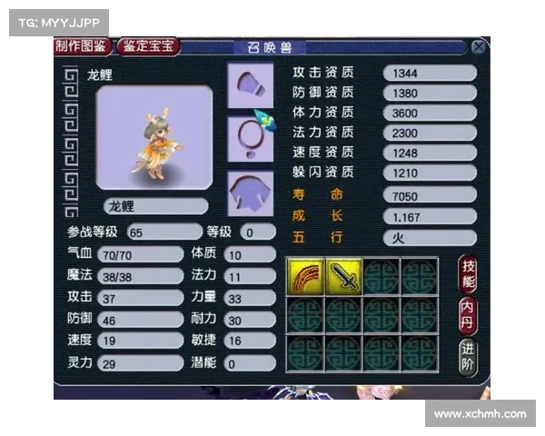 梦幻西游角色实力提升的全面攻略从基础到进阶的详细步骤解析