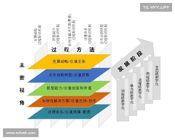 中国足球崛起的战略路径与体制创新驱动的未来发展解析
