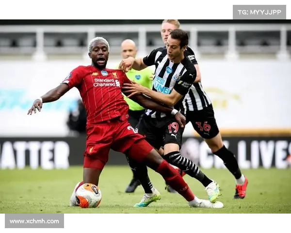 全面解析英联杯赛制揭秘这项传统足球赛事的规则与亮点 全面解析英联杯赛制揭秘这项传统足球赛事的规则与亮点