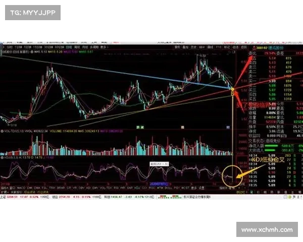 全面揭秘2023冬窗转会关键时间节点深度解析全景观察未来走势